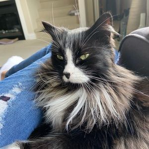 Meet your Posher, Isobel